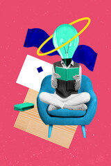 Vertical collage illustration light bulb instead female head student hold open book has conclusion about novel isolated on pink background