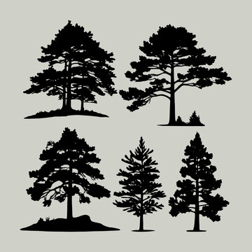 Vintage trees and forest silhouettes set, flat icon design vector on white background