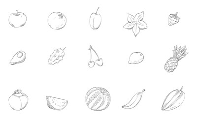 fruit handdrawn collection