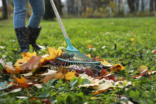 Woman raking fall leaves in park, closeup. Space for text