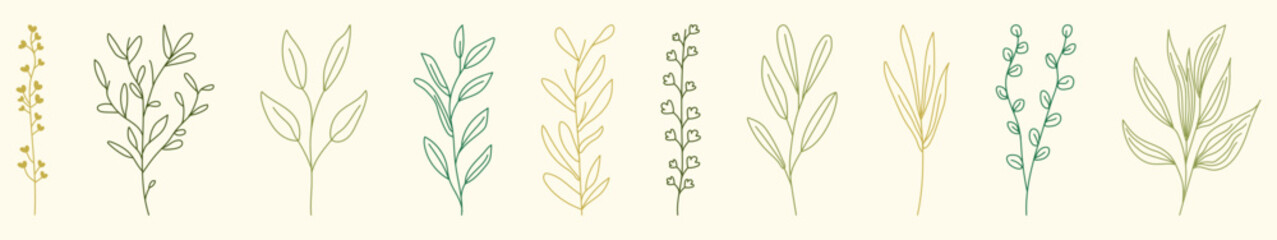 Set of botanic wild herbs and leaves. Hand drawn illustration isolated on white background