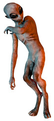 Alien Grey Creature