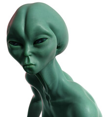 Alien Grey head and shoulders