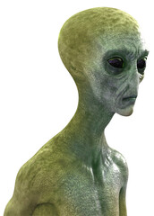 Alien Grey head and shoulders