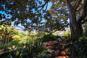 Wendy Whiteley's Secret Garden in Australia