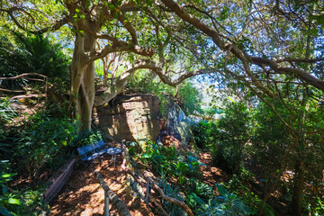 Wendy Whiteley's Secret Garden in Australia