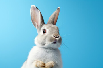 Friendly gray Easter bunny on a blue copy space background