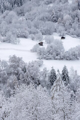 snow covered mountains in the Swiss Alps with forest and barns - 691480353