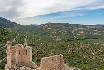 Landscape of a multitude of olive trees from the castle of Zuheros in Cordoba, Spain