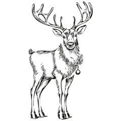Sketch Drawing of Christmas Reindeer, deer Hand Drawn Vintage Engraved, black white isolated Vector ink outlines template for greeting card, poster, invitation, banner