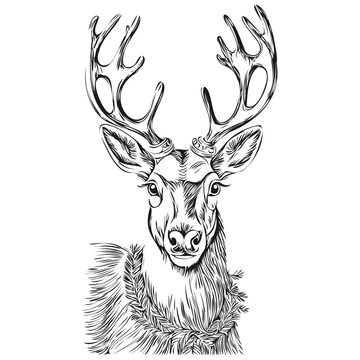 Vintage Engraved Christmas Reindeer, deer Hand Drawn Sketch Illustration, black white isolated Vector outlines template for greeting card, poster, invitation, logo