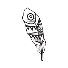 feathers handdrawn illustration