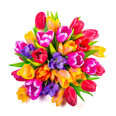 Fototapeta premium Colorful vibrant spring tulips. Flowers bouquet isolated on white background. Top view