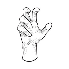hand gesture handdrawn illustration