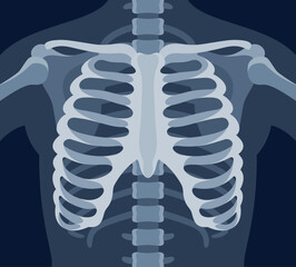 Human skeleton chest x ray image torso roentgen shot medical analyzing vector flat illustration