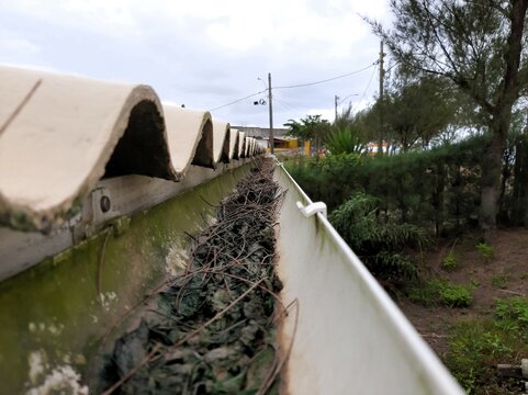 Calha de telhado com folhas - Roof gutter with leaves