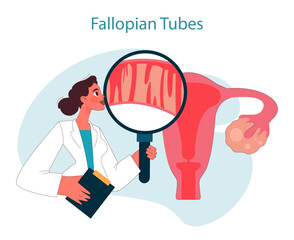 Fallopian tubes. Doctor examining fallopian tubes using magnifying glass. Female anatomy and reproductive health. Gynecological check-up and diagnosis. Flat vector illustration