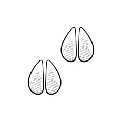 animal footprints handdrawn illustration
