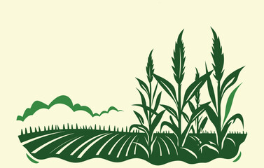 Corn plantation. Vector illustration of sweet corn sprouting in field