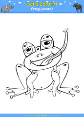 Lets color it Frog