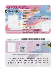 United States of America employment authorization card template isolated on a white background. USA work permit card