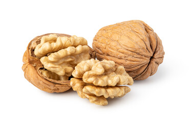 Walnut on white background