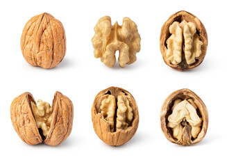 Walnut on white background