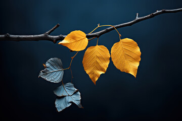 The autumn leaf is leaning against a branch 