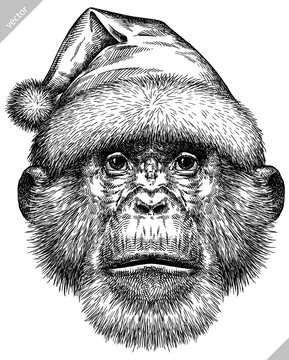 Vintage engraving isolated chimpanzee set dressed christmas illustration chimp ink santa costume sketch. Monkey background primate silhouette new year hat art. Black and white hand drawn vector image