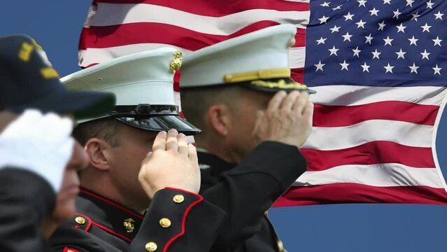 Retired veteran and military officers salute in front of the American flag, the US