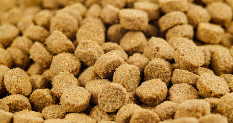 Dry Pet Food as Nutrition for Cats and Dogs. Macro Healthy Dry Feed for Animals. Feeding Domestic Animals, Treats for Puppies. Crunchy Meal for Pedigree. Pet shop and Delivery