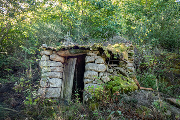 Ruínas de uma pequena casa abandonada a meio de uma verde floresta