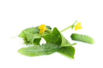 Fresh cucumbers isolated on white