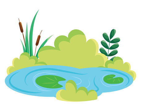 wetland with plants illustration