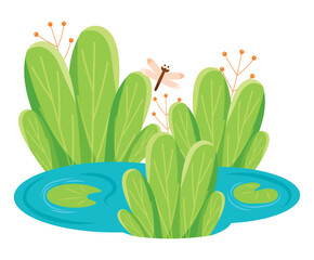 wetland with plants and dragonfly