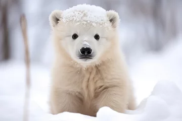 Fototapeten Cute Baby Polar Bear In The Snow © Anastasiia