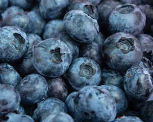 Fresh blueberry background. Texture blueberry berries close up