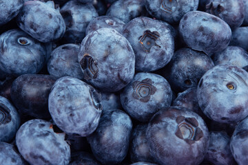 Fresh blueberry background. Texture blueberry berries close up