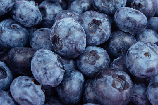 Fresh blueberry background. Texture blueberry berries close up © Liza