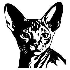 cute cat vector illustration, Generative AI.	