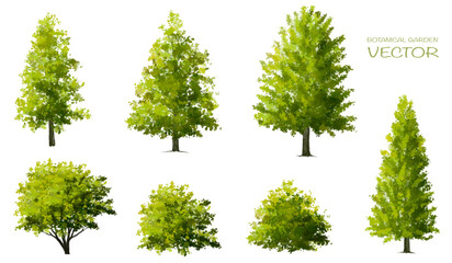 Vector watercolor green tree or forest side view isolated on white background for landscape and architecture drawing,elements for environment or garden,botanical element for exterior section in spring - obrazy, fototapety, plakaty