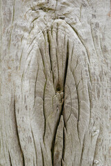 Struktur an einem Holzpfahl