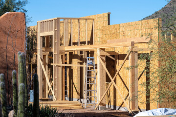 Saguaros cactus and a house in construction in Arizona
