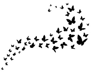 silhouettes of butterflies