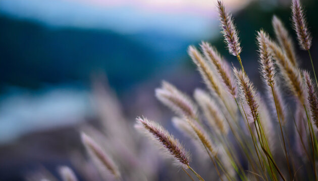 Vibrant nature backdrop for presentations: lush landscapes, serene waters, and sun-kissed skies in a picturesque symphony