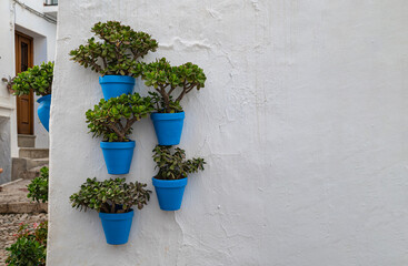 Fototapeta na wymiar Blue pots with green plants stand out against a white wall in an old Andalusian village.