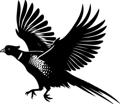 recommend clip art: Flying Pheasant Silhouette Vector, Black Silhouettes Of Pheasant In Different Pose
