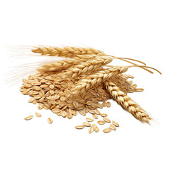Ears of wheat isolated on transparent background