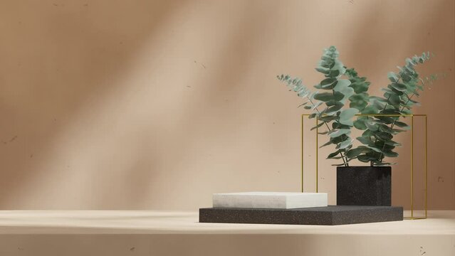 empty scene black white ceramic podium of with seamless shadow animation looping eucalyptus leaf and gold cube, 3d render footage
