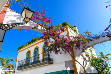 A purple blooming bougainvillea plant stretches across an arch in the picturesque old town of the whitewashed fishing village of Puerto de Mogán, Gran Canaria Island, Spain.